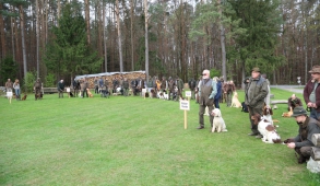 http://www.jagdhundeausbildung.info/?page_id=2229